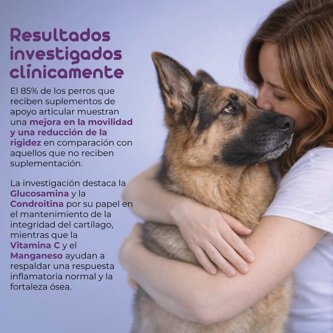 Flowpet + Move Suplemento Articular Perros 60 Comprimidos